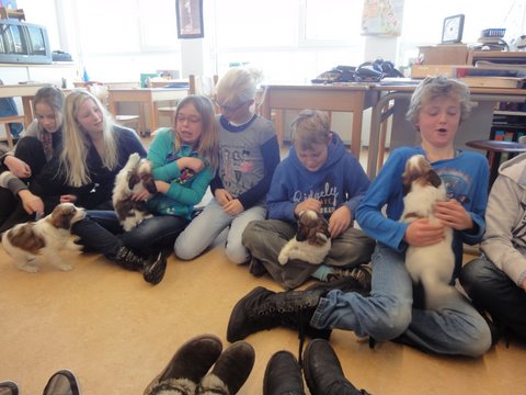 Puppies