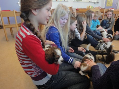 Puppies